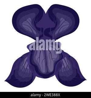 Fleur d'iris violette. Illustration vectorielle isolée sur fond blanc. Illustration de Vecteur