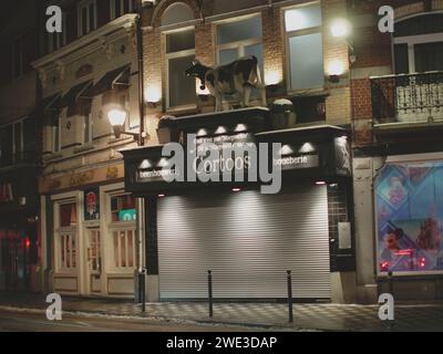 Bruxelles, Belgique 20 janvier 2024. Statue d'une vache tachetée montée sur un bâtiment. Façade de magasin belge. Nuit Bruxelles avec lumières de nuit Banque D'Images