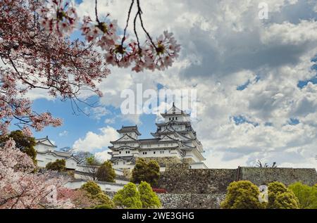 Château de Himeji pendant la floraison du printemps à tokyo Banque D'Images