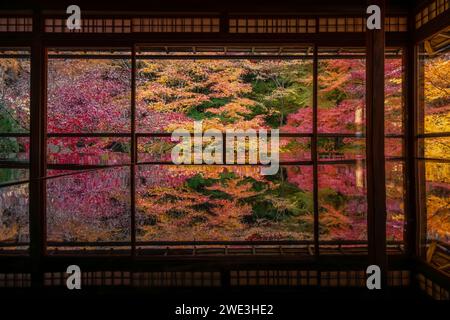 Saison d'automne à Kyoto, au Japon, des couleurs d'automne vibrantes entourent le temple bouddhiste Ruriko-in dans l'ancienne capitale japonaise. Banque D'Images