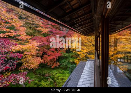 Saison d'automne à Kyoto, au Japon, des couleurs d'automne vibrantes entourent le temple bouddhiste Ruriko-in dans l'ancienne capitale japonaise. Banque D'Images