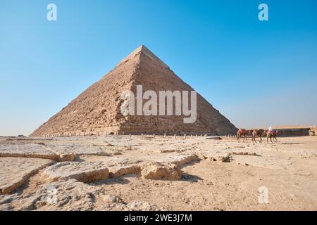 Gizeh, Egypte - décembre 24 2023 : pyramide de Khafre (également lu comme Khafra, Khefren) et Menkaaure avec des chameaux Banque D'Images