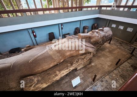 Memphis, Égypte - 2 janvier 2024 : statue monumentale de Ramsès II sculptée dans le calcaire et mesurant environ 10 mètres de long Banque D'Images