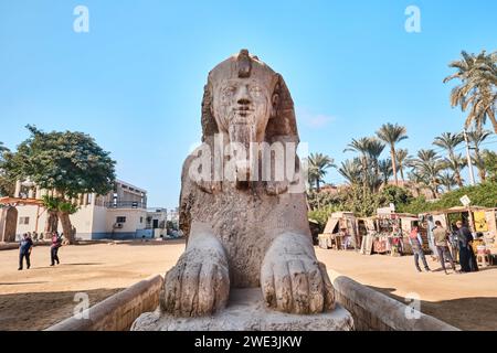 Memphis, Egypte - 2 janvier 2024 : un Sphinx en albâtre dans les ruines de Memphis autrefois l'ancienne capitale de l'ancien Royaume d'Egypte Banque D'Images