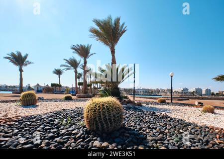 Hurghada, Egypte - 03 janvier 2024 : Cactus et palmiers devant un hôtel Bel Air Azur Resort Banque D'Images