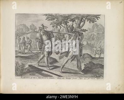 Retour des scouts de Canaan, 1643 imprimer deux des scouts, qui avaient envoyé Moïse à Canaan, reviennent avec un grand grapesros sur une branche. En arrière-plan, un paysage dans lequel courent les autres scouts. Sous la performance une référence en latin au texte de la Bible dans Num. 13 : 2. Ce tirage fait partie d'un album. Amsterdam gravure sur papier les espions emportent une partie des fruits de Canaan et reviennent, portant généralement une grande grappe de raisins sur un poteau Banque D'Images