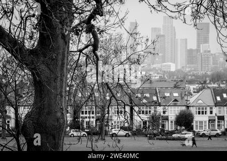 Propriétés résidentielles suburbaines et gratte-ciel lointain à Nine Elms, vues depuis Ruskin Park, un espace vert public du sud de Londres à Lambeth, le 23 janvier 2024, à Londres, en Angleterre Banque D'Images