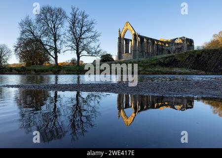 Les ruines du Prieuré de Bolton (alias Bolton Abbey), reflétées dans les eaux encore de la rivière Wharfe, Yorkshire Dales, Royaume-Uni Banque D'Images