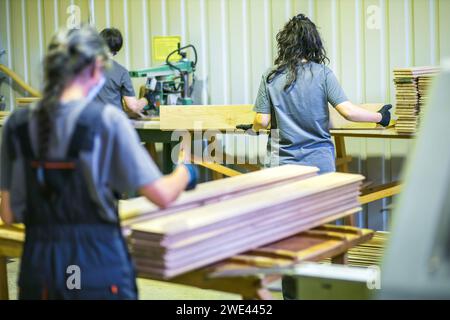 les travailleuses travaillant avec des planches dans l'usine de transformation du bois Banque D'Images