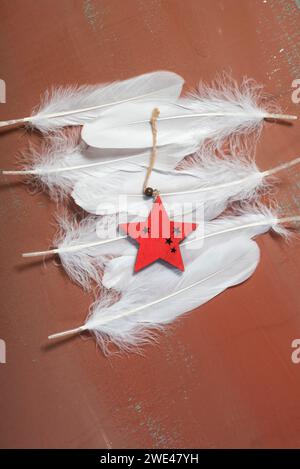 Étoile rouge sur plumes blanches Banque D'Images