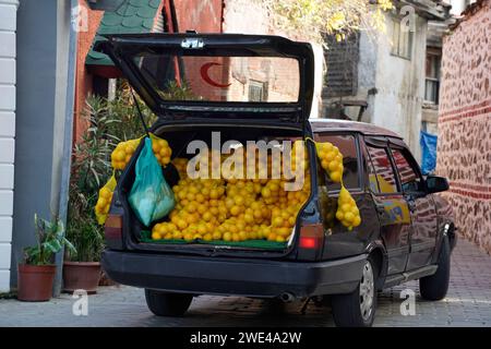 Citrons porte à porte vente avec voiture dans le village d'Anadolu Kavagi Istanbul Turquie, croisière sur le Bosphore Banque D'Images