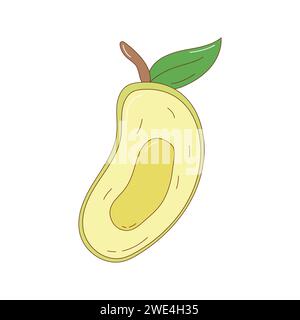 Illustration vectorielle de fruit de mangue dessinée à la main. Élément vectoriel de fruit dessiné à la main créatif Illustration de Vecteur