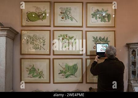 Londres, Royaume-Uni. 23 janvier 2024. Un membre du personnel prend des photos de « neuf gravures botaniques hollandaises du 17e siècle tirées de Hortus indicus malabaricus de Rheede », 1678, sur le stand Christopher-Hall, à la foire décorative d’Evolution London à Battersea Park. Antiquités fines et décoratives, design du 20e siècle, textiles et objets datant de c1700 aux années 1970, ainsi que des œuvres d'art de toutes les périodes du classique au contemporain sont en vente dans le salon qui se déroule jusqu'au 28 janvier 2024. Crédit : Stephen Chung / Alamy Live News Banque D'Images