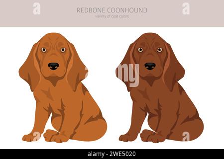 Redbone coonhound chiots clipart. Différentes poses, couleurs de manteau définies. Illustration vectorielle Illustration de Vecteur