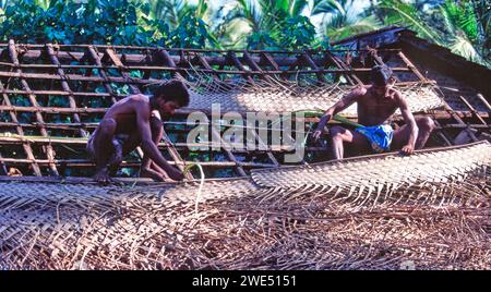 Réparation d'un toit avec des frondes de palmier tissées au Sri Lanka Banque D'Images