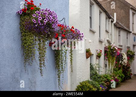 Rue latérale étroite dans Tenby Pembrokeshire pays de Galles avec des paniers de fleurs suspendus sur les murs Banque D'Images