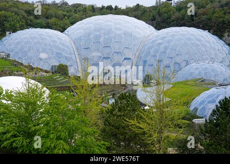 Angleterre, Comté de Cornwall, Eden Project, jardins botaniques Banque D'Images