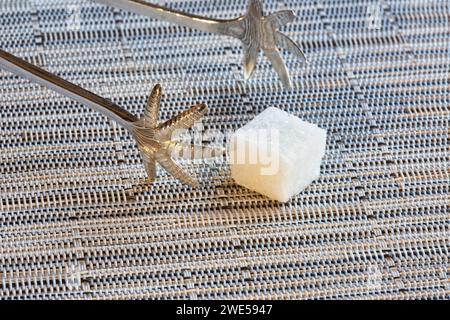 Les pinces en argent sterling sont utilisées dans un thé formel de l'après-midi avec des cubes de sucre Banque D'Images