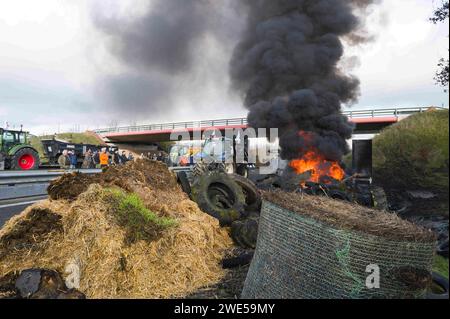 Montauban, France. 23 janvier 2024. Le feu de colère sur l'A20 avec des paysans du Tarn-et-Garonne en arrière-plan. La FNSEA et les jeunes agriculteurs du Tarn-et-Garonne rassemblent et bloquent à Montauban l'autoroute A20. France, Golfech 23 janvier 2024. Photo de Patricia Huchot-Boissier/ABACAPRESS.COM crédit : Abaca Press/Alamy Live News Banque D'Images