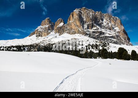 Montagnes enneigées, vue sur le groupe Sassolungo, hiver, col de Sella, Val Gardena, Dolomites, Tyrol du Sud, Italie Banque D'Images