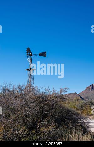 Vues le long de l'exposition Chihuahua Desert Trail à Dugout Wells, parc national de Big Bend, Texas, États-Unis. Banque D'Images