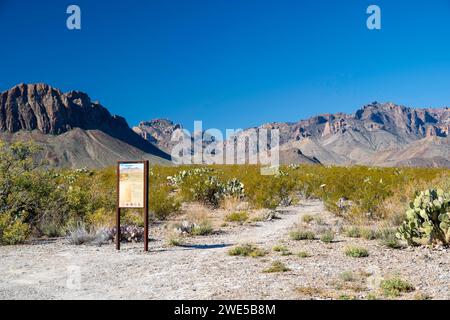 Vues le long de l'exposition Chihuahua Desert Trail à Dugout Wells, parc national de Big Bend, Texas, États-Unis. Banque D'Images