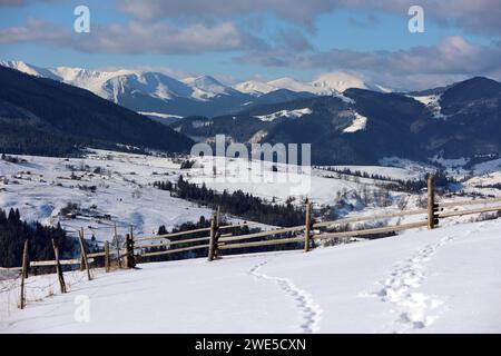 Non exclusive : RÉGION D'IVANO-FRANKIVSK, UKRAINE - 21 JANVIER 2024 - vue sur les montagnes en hiver dans le village de Zamahora, district de Verkhovyna, Banque D'Images