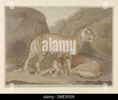 Deux tigres dans un paysage, A. Lutz, d'après Isaac van Haasterert, 1809 - 1822 imprimer la brosse en papier de la Haye bêtes de proie, animaux prédateurs : tigre Banque D'Images