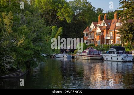 Bateaux amarrés à côté de villas sur la Tamise, Maidenhead, Berkshire, Angleterre, Royaume-Uni Banque D'Images