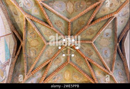 Voûte étoilée de la cathédrale (Bazylika Katedralna) avec médaillons peints de portrait à Tarnów dans la voïvodie de Malopolskie en Pologne Banque D'Images