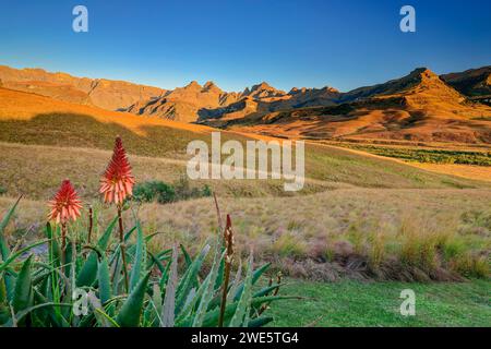 Montagnes du Drakensberg avec corne extérieure, corne intérieure et pic de la cathédrale, Didima, pic de la cathédrale, Drakensberg, Kwa Zulu Natal, site du patrimoine mondial de l'UNESCO Banque D'Images