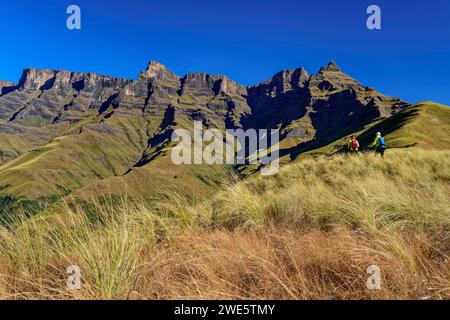 Homme et femme randonnée avec sommet Old Woman broyant maïs en arrière-plan, Contour Path, Injasuthi, Drakensberg, Kwa Zulu Natal, UNESCO World Heritag Banque D'Images