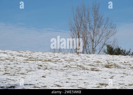 L'hiver est arrivé avec la neige. Banque D'Images