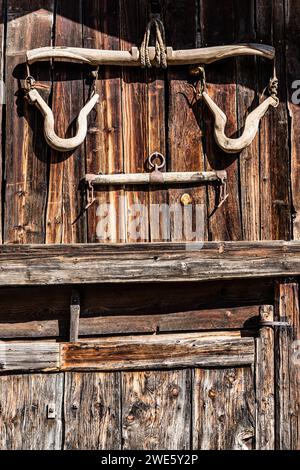 Porte stable, Alm, Truden, Tyrol du Sud, Alto Adige, Italie Banque D'Images