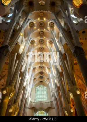 Lumière et ombre à l'intérieur de la basilique de la Sagrada Familia Banque D'Images