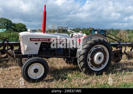 Drayton.Somerset.United kingdom.August 19th 2023.A restauré David Brown Selectamatic 880 est exposé à un événement Yesterdays Farming Banque D'Images