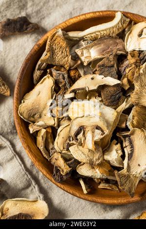 Champignons séchés crus biologiques dans un bol Banque D'Images