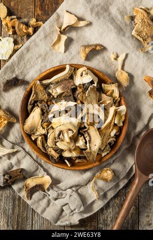 Champignons séchés crus biologiques dans un bol Banque D'Images