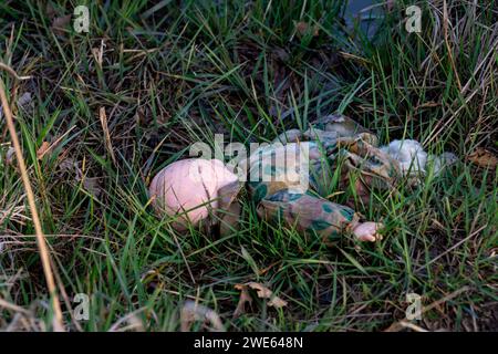 Vieille poupée sale abandonnée couchée dans l'herbe verte. Banque D'Images