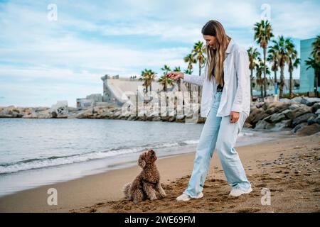 Heureuse jeune femme jouant avec chien caniche à la plage Banque D'Images