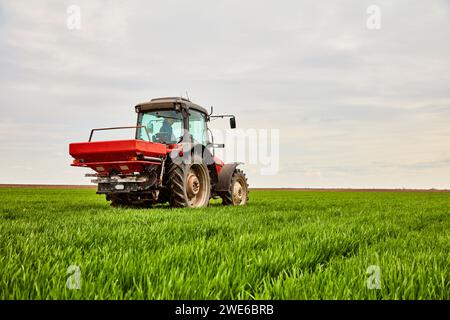 Agriculteur conduisant le tracteur et pulvérisant de l'engrais sur le champ de blé Banque D'Images