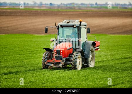 Jeune agriculteur dans le tracteur fertilisant le champ de blé Banque D'Images