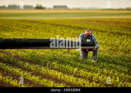 Agriculteur ajustant le pulvérisateur de récolte dans le champ au coucher du soleil Banque D'Images