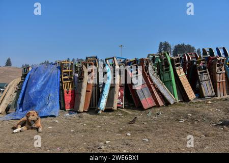 Un chien se repose près des traîneaux à neige de la station de ski habituellement couverte de neige à cette période de l'année lors d'une journée ensoleillée d'hiver à Gulmarg, à environ 55 km de Srinagar. La vallée pittoresque du Cachemire, réputée pour ses spots de neige et de ski hivernaux, fait face à une sécheresse inhabituelle cette saison hivernale. Gulmarg, une destination touristique populaire célèbre pour ses pentes enneigées, est austère et aride, avec l'absence de couverture de neige. Le manque de neige ne frappe pas seulement l'industrie du ski, mais a un impact inquiétant sur l'agriculture, pilier de l'économie du Cachemire. Le secteur du tourisme a disparu Banque D'Images