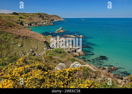 France, Bretagne, littoral du cap Sizun en été Banque D'Images