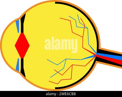 Conception de l'anatomie de l'oeil humain dans le style géométrique patchwork. Composition graphique pour publicité, bannière, design d'emballage. Illustration de Vecteur