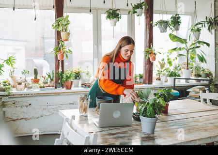 Botaniste arrosant les plantes près de l'ordinateur portable à la table dans le magasin Banque D'Images