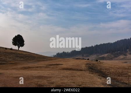 Gulmarg, Inde. 23 janvier 2024. Une vue générale de la station de ski généralement couverte de neige à cette période de l'année lors d'une journée d'hiver ensoleillée à Gulmarg, à environ 55 km de Srinagar. La vallée pittoresque du Cachemire, réputée pour ses spots de neige et de ski hivernaux, fait face à une sécheresse inhabituelle cette saison hivernale. Gulmarg, une destination touristique populaire célèbre pour ses pentes enneigées, est austère et aride, avec l'absence de couverture de neige. Le manque de neige ne frappe pas seulement l'industrie du ski, mais a un impact inquiétant sur l'agriculture, pilier de l'économie du Cachemire. Le touris Banque D'Images