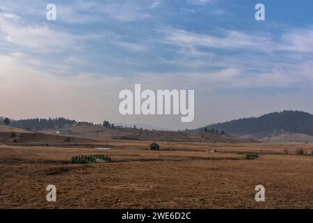 Gulmarg, Inde. 23 janvier 2024. Une vue générale de la station de ski généralement couverte de neige à cette période de l'année lors d'une journée d'hiver ensoleillée à Gulmarg, à environ 55 km de Srinagar. La vallée pittoresque du Cachemire, réputée pour ses spots de neige et de ski hivernaux, fait face à une sécheresse inhabituelle cette saison hivernale. Gulmarg, une destination touristique populaire célèbre pour ses pentes enneigées, est austère et aride, avec l'absence de couverture de neige. Le manque de neige ne frappe pas seulement l'industrie du ski, mais a un impact inquiétant sur l'agriculture, pilier de l'économie du Cachemire. Le touris Banque D'Images