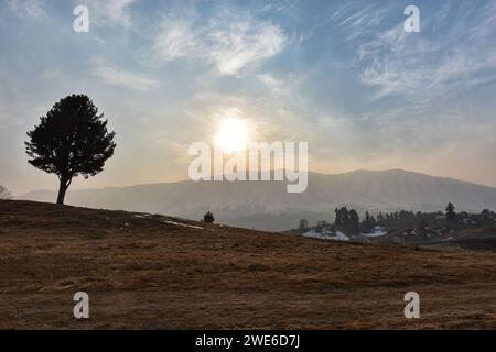 Gulmarg, Inde. 23 janvier 2024. Une vue générale de la station de ski généralement couverte de neige à cette période de l'année lors d'une journée d'hiver ensoleillée à Gulmarg, à environ 55 km de Srinagar. La vallée pittoresque du Cachemire, réputée pour ses spots de neige et de ski hivernaux, fait face à une sécheresse inhabituelle cette saison hivernale. Gulmarg, une destination touristique populaire célèbre pour ses pentes enneigées, est austère et aride, avec l'absence de couverture de neige. Le manque de neige ne frappe pas seulement l'industrie du ski, mais a un impact inquiétant sur l'agriculture, pilier de l'économie du Cachemire. Le touris Banque D'Images